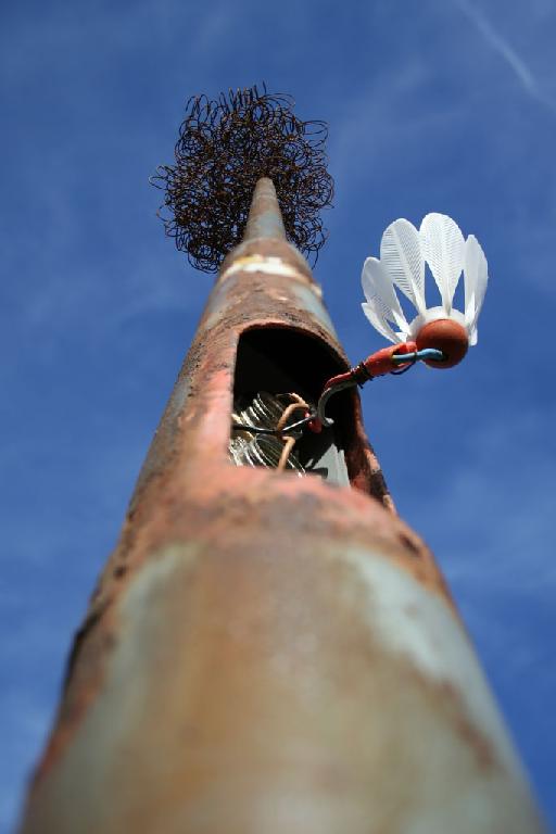 Member Image
