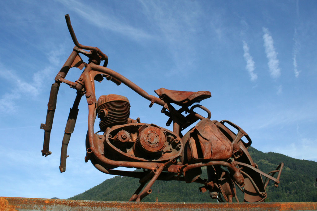 Member Image