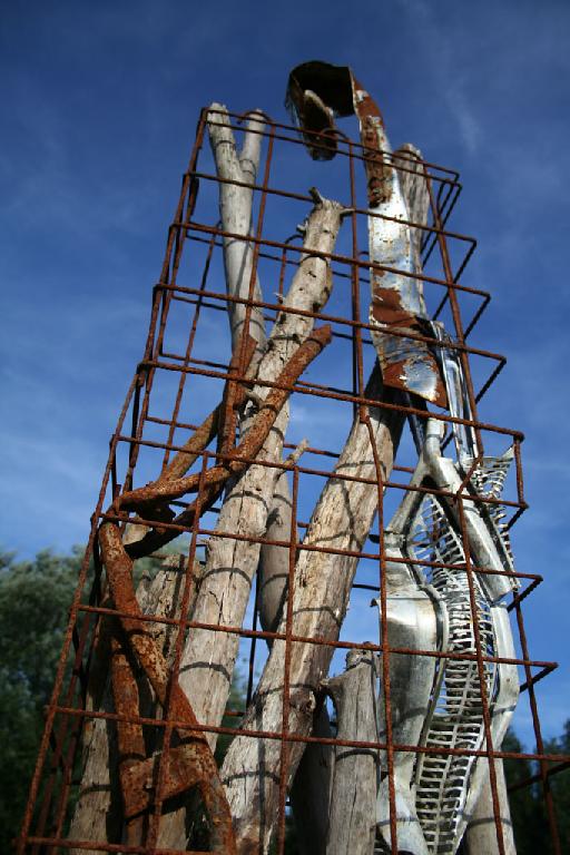 Member Image